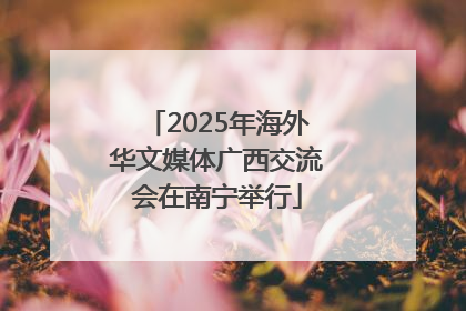 2025年海外华文媒体广西交流会在南宁举行