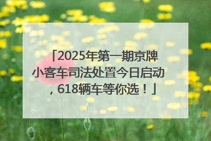 2025年第一期京牌小客车司法处置今日启动，618辆车等你选！