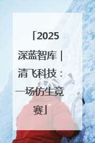 2025深蓝智库｜清飞科技：一场仿生竞赛