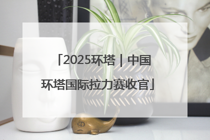 2025环塔｜中国环塔国际拉力赛收官