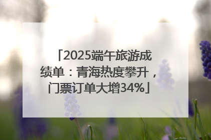 2025端午旅游成绩单：青海热度攀升，门票订单大增34%