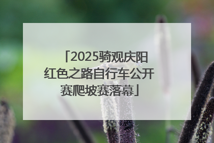 2025骑观庆阳红色之路自行车公开赛爬坡赛落幕