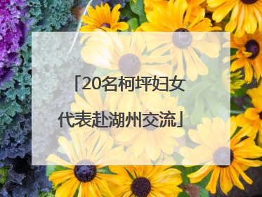 20名柯坪妇女代表赴湖州交流