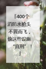 400个消防水枪头不翼而飞，偷这些设施“真刑”！