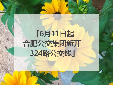 6月11日起 合肥公交集团新开324路公交线