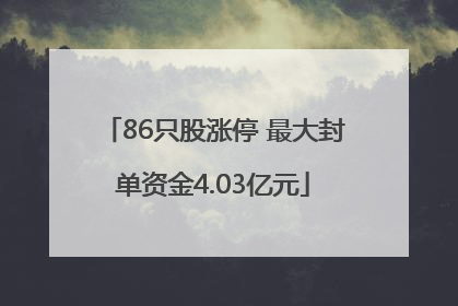 86只股涨停 最大封单资金4.03亿元