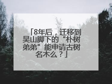 8年后，迁移到吴山脚下的“朴树弟弟”能申请古树名木么？