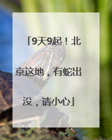 9天9起！北京这地，有蛇出没，请小心