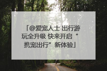 @爱宠人士 出行游玩全升级 快来开启“携宠出行”新体验