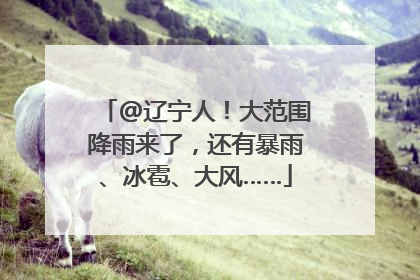 @辽宁人！大范围降雨来了，还有暴雨、冰雹、大风……